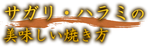 サガリ・ハラミの